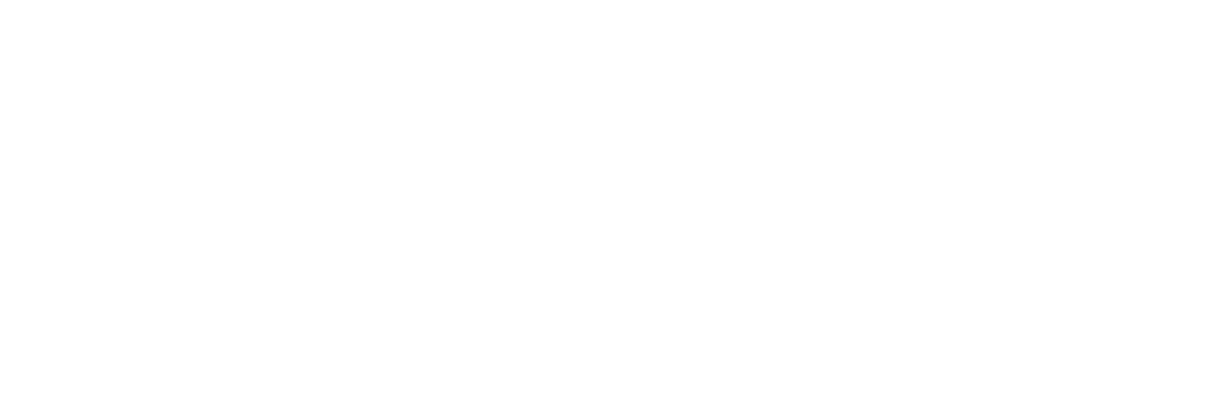 Skinmap Logo - White Reversed for dark backgrounds